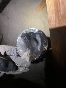 A gloved hand holding a flexible vent duct filled with lint and debris, cleaned by Elite Vent Cleaning in Bluebird Lane.