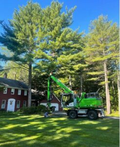 A close-up of a heavy-duty grapple attachment holding a tree trunk during work by Dark Arbor Tree Care in Portland, ME.