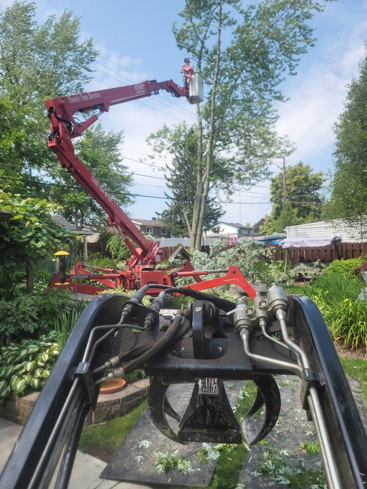 View from a grapple attachment towards a worker in a bucket lift trimming a tree for Dave's Tree & Stump Removal LLC in Parma, OH.
