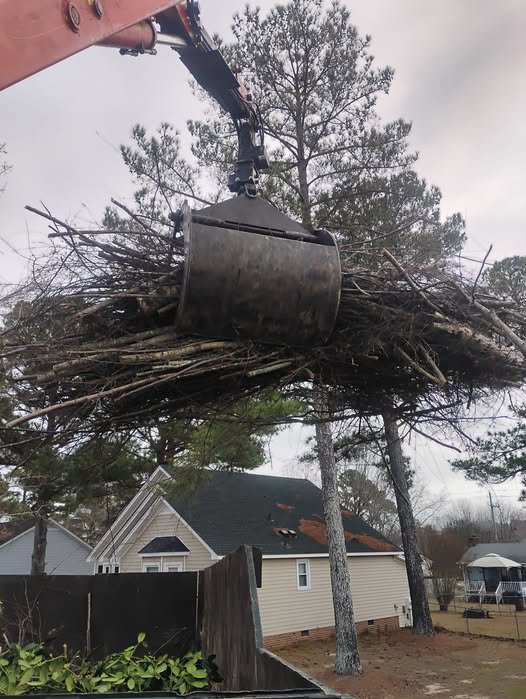 A grapple claw lifting a large bundle of tree branches and brush for debris removal by Tree & Debris Removal Service in Raleigh, NC.