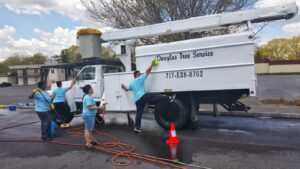 A grapple loader moving cut logs onto a trailer for cleanup by Douglas Tree & Property Service in Lancaster, PA.