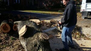 A yellow grapple loader attached to a trailer, used for tree service by Douglas Tree & Property Service in Lancaster, PA.