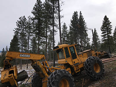 A grapple loader carrying logs in a snowy forest, performing tree service work for Martelli Forestry in Anaconda, MT.