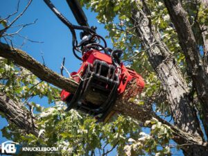 A red grapple saw attachment cutting a tree branch, demonstrating advanced tree removal techniques by Gray's Tree and Crane Service in Evansville, IN.