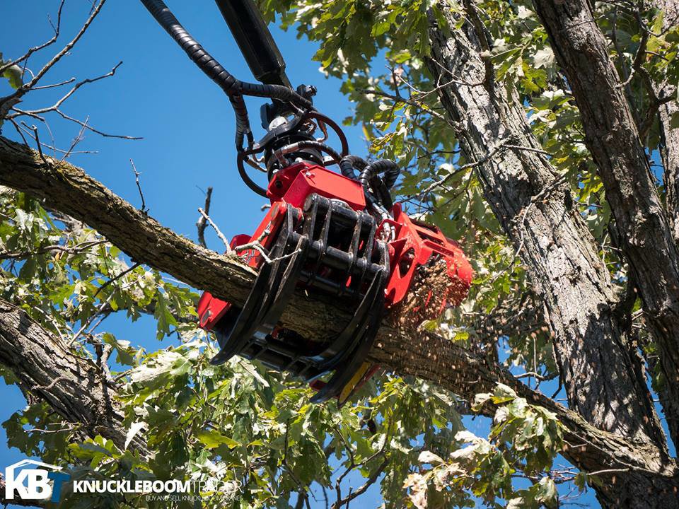 A red grapple saw attachment cutting a tree branch, demonstrating advanced tree removal techniques by Gray's Tree and Crane Service in Evansville, IN.