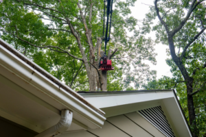 A grapple saw attachment on a crane removing a tree branch near a residential roof by Explore Tree Service in Durham, NC.