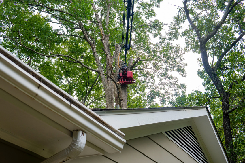 A grapple saw attachment on a crane removing a tree branch near a residential roof by Explore Tree Service in Durham, NC.