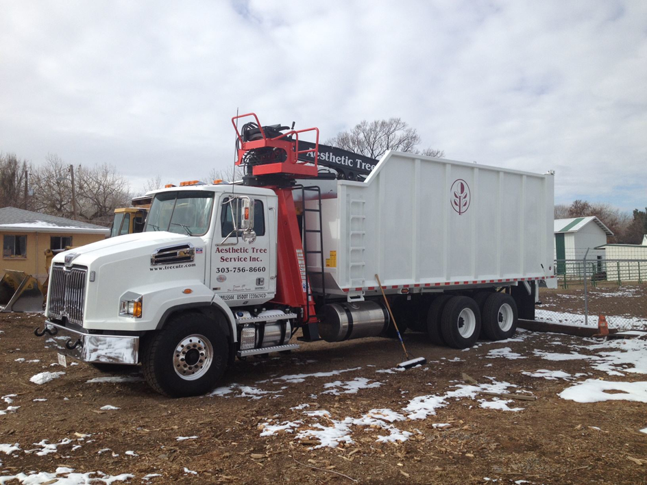 A white grapple truck with the Aesthetic Tree Service logo and contact information in Denver, CO.