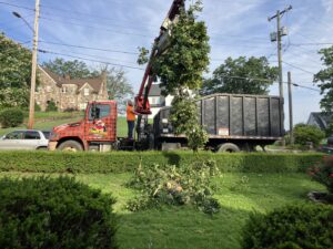 A worker operating a grapple truck to remove tree debris and branches for Lumberjacks Tree Service in Chattanooga, TN.