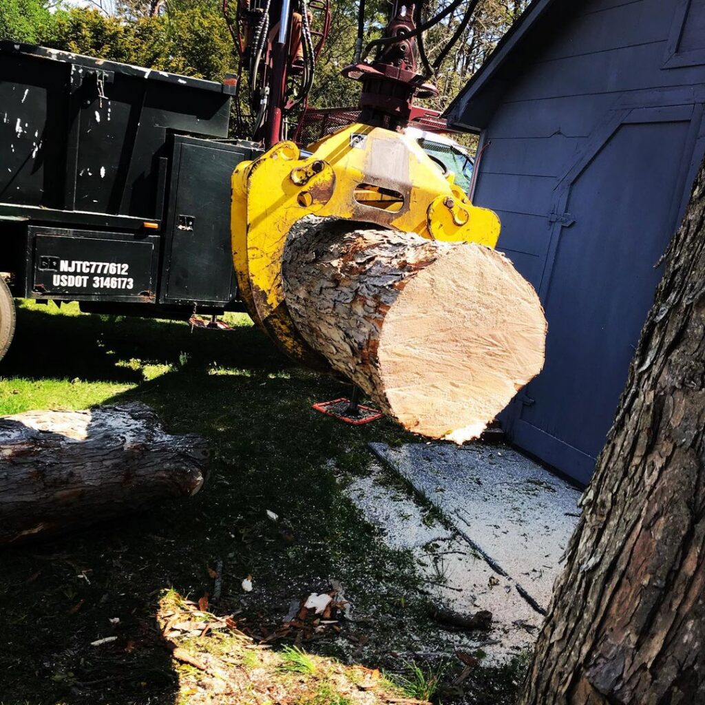 A grapple truck efficiently lifting a large log for removal by Toms River Tree Service, LLC in Toms River, NJ.