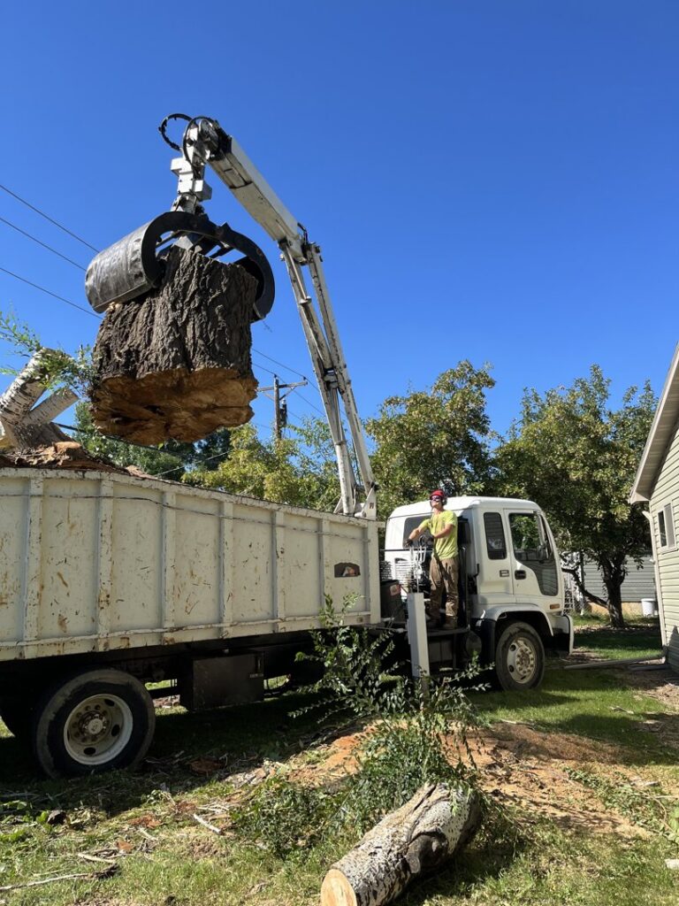 A grapple truck lifting a large tree stump into its bed, demonstrating debris removal by Affordable Tree Service in Dickinson, ND.