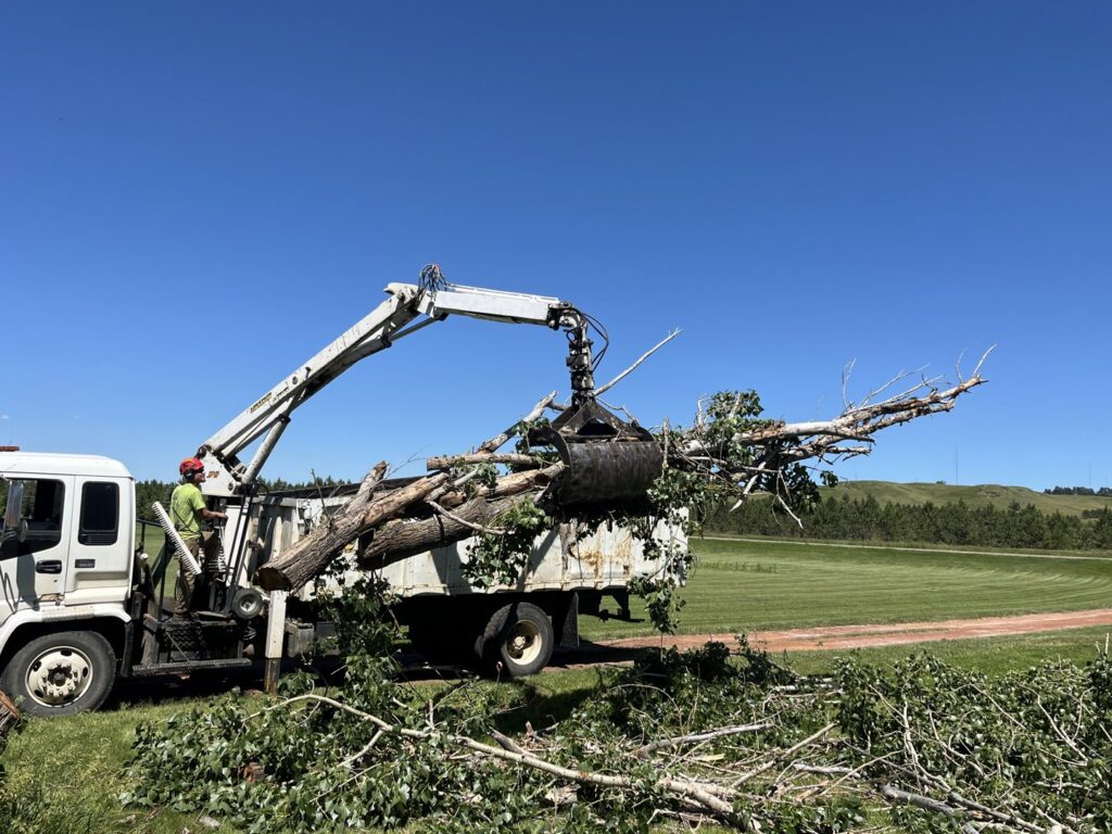 A grapple truck loading cut tree branches into its bed, showing debris removal by Affordable Tree Service in Dickinson, ND.