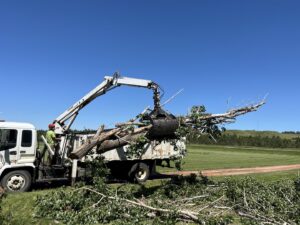A grapple truck loading cut tree branches into its bed, showing debris removal by Affordable Tree Service in Dickinson, ND.
