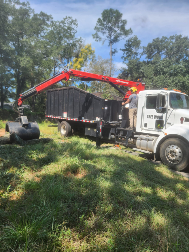 A Tree Worx grapple truck loading a large tree log, showcasing efficient debris removal in Darlington, PA.