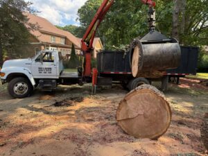 A grapple truck loading a large section of a tree trunk into its container, with sawdust on the ground from Tree & Debris Removal Service in Raleigh, NC.