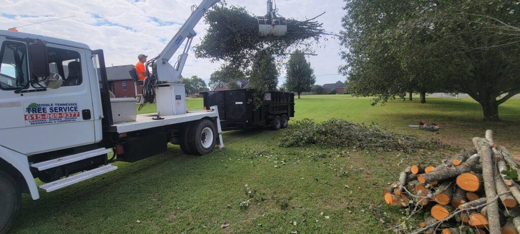 A grapple truck loading logs and branches for cleanup by Middle Tennessee Tree Service in Cookeville, TN.