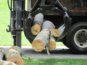 A grapple truck loading cut tree logs after a tree service job by Flower City Tree in Rochester, NY.