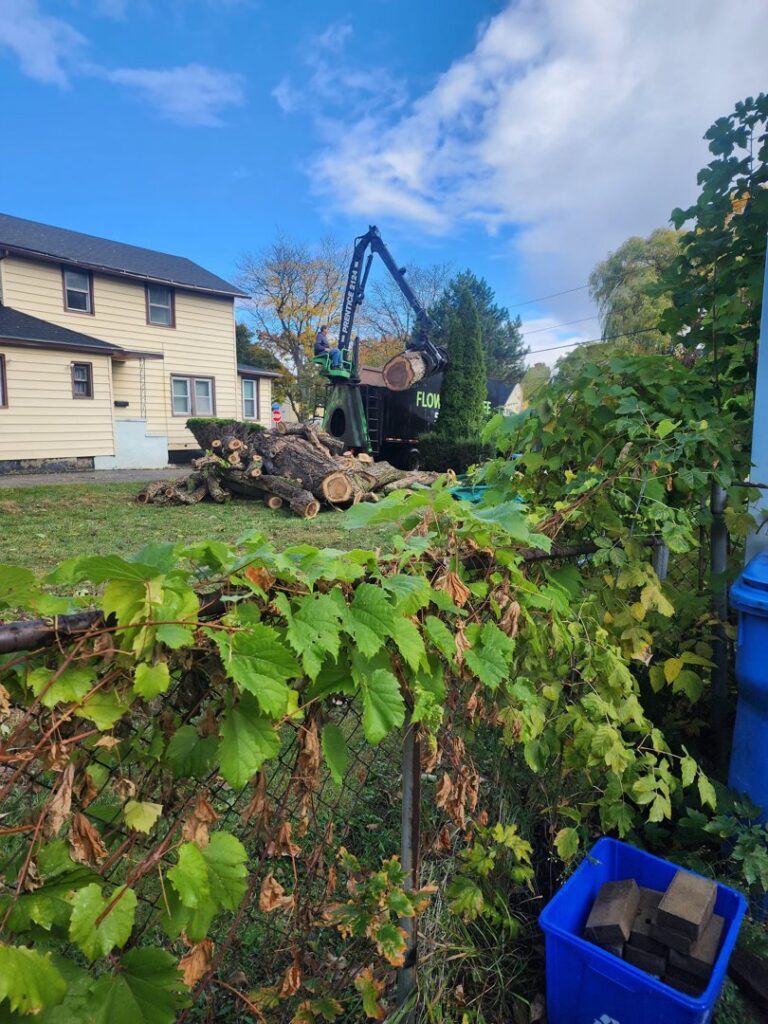 A grapple truck loading cut tree logs with a worker assisting for Flower City Tree in Rochester, NY.