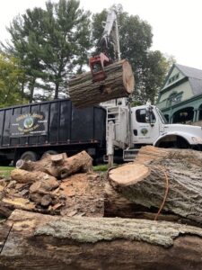 A grapple truck from Edgar&son's landscaping lifting a large log during tree removal cleanup in Boston, MA