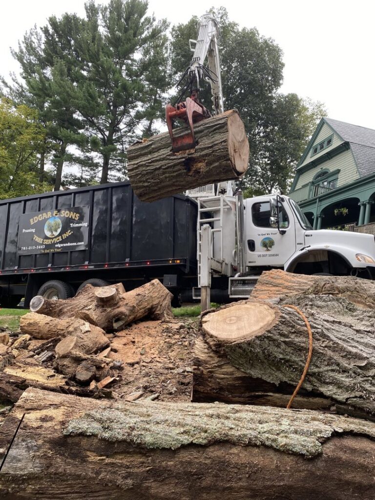 A grapple truck from Edgar&son's landscaping lifting a large log during tree removal cleanup in Boston, MA