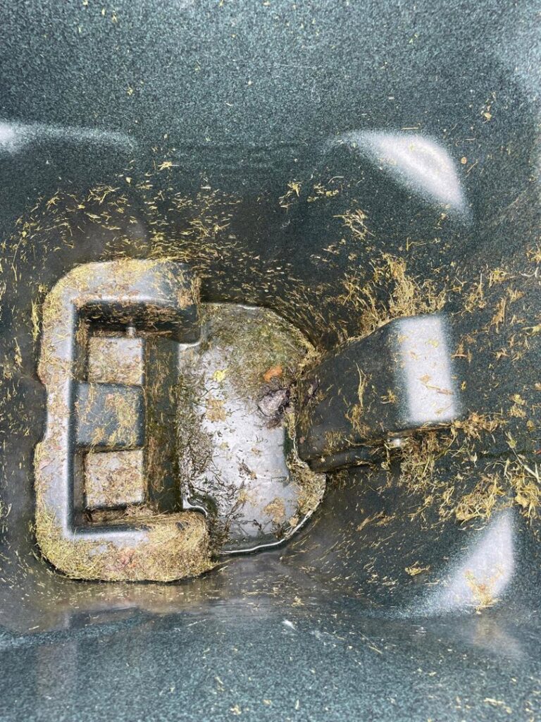 A green trash bin lid showing a clear 'After' clean section next to a 'Before' dirty section, demonstrating cleaning by Bin Blasters - Knoxville, TN.