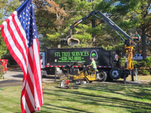 A truck with a grapple arm loading tree debris for green waste removal by STL Green Waste, LLC in St. Charles, MO.