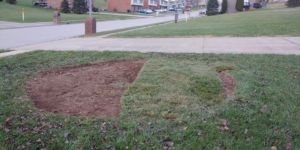 Ground prepared after stump removal or tree work by Stiltner Tree Service in Oliver Springs, TN.