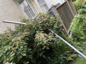 Close-up of a new gutter being installed or repaired on a house by Glick's Exteriors in Philadelphia, PA, surrounded by green foliage.