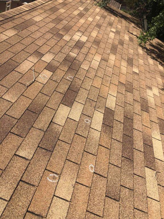 A shingle roof showing hail damage marks during an inspection by Elite Roofing Colorado Springs, CO.