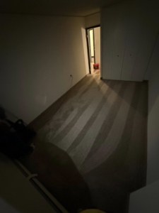 Hallway with new carpet and vacuum lines from Johnson's Flooring Solutions LLC in Rochester, MN