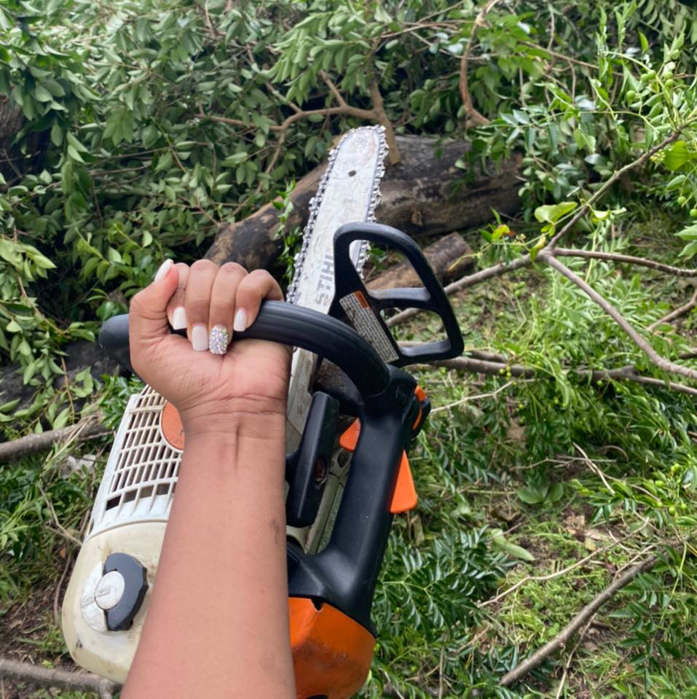 A hand holding a chainsaw amidst cut branches and logs, indicating tree service work by T-Bone Tree Service in Savannah, GA.