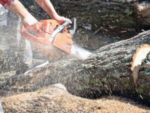 Close-up of hands operating a chainsaw to cut a log, with sawdust flying, performed by Alex's Tree Services in Seattle, WA.