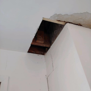 A damaged ceiling with exposed wooden beams, ready for repair by JPC Plaster & Drywall in Ann Arbor, MI.