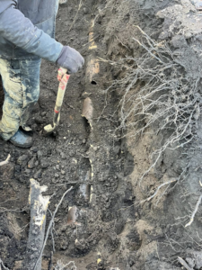 A handyman digging a drainage trench for pipe installation at a property in Indianapolis, IN by Lankford Dirt Works LLC.