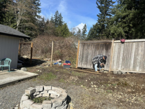 A handyman actively working on repairing a wooden fence in a backyard setting for HandyMan Shocks in Tacoma, WA.