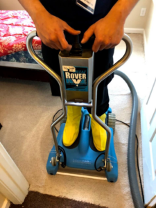 A ProTouch Restoration handyman using a specialized carpet restoration tool in Minneapolis, MN.