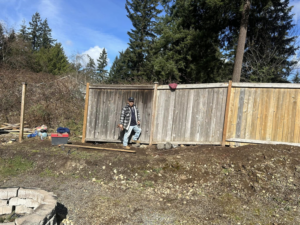 A handyman worker standing proudly by a recently repaired wooden fence, a service provided by HandyMan Shocks in Tacoma, WA.