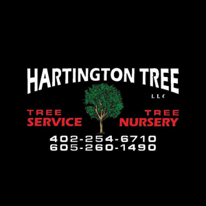 Hartington Tree