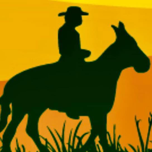 Haul It All Services