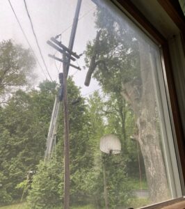A hazardous tree branch hanging near power lines and a utility pole, indicating a need for L. Moore Tree Service in Auburn, NY.