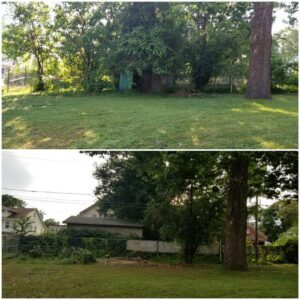 A heavily pruned or topped tree, showing the result of significant tree removal work by Rothman Tree Service in Des Moines, IA.