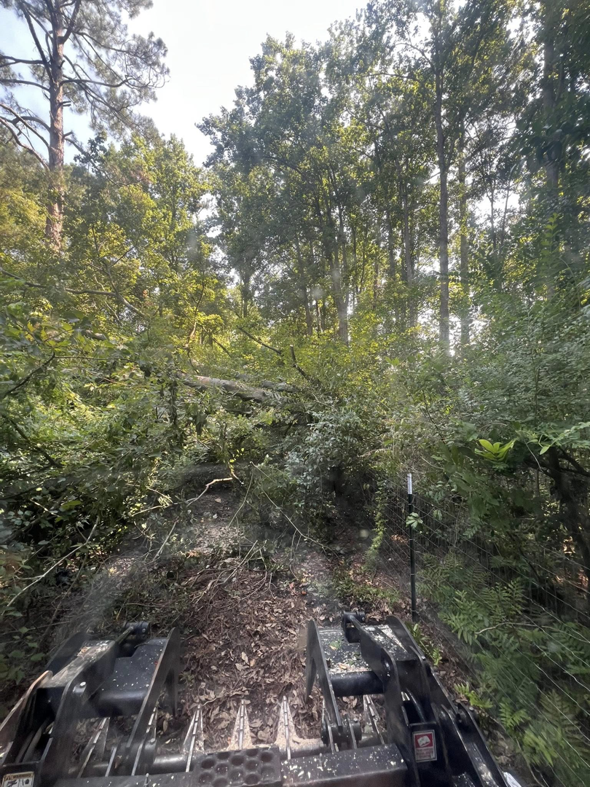 Heavy equipment actively clearing dense brush and small trees for land preparation by Padgett Land Services in Albany, GA.