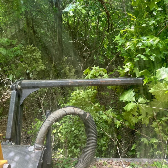 Heavy equipment actively clearing dense brush and vegetation, a service offered by Mighty Mouse Services in Winston-Salem, NC.