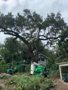 Heavy equipment, including an excavator and lift, on site for a large tree removal job by D&W Affordable Tree Service in Jacksonville, FL.