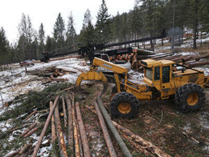 Heavy machinery, a grapple loader, moving cut logs in a snowy forest for Martelli Forestry in Anaconda, MT.
