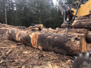 Heavy machinery processing a large felled log on a job site for Jere's Tree Service in Kodiak, AK.