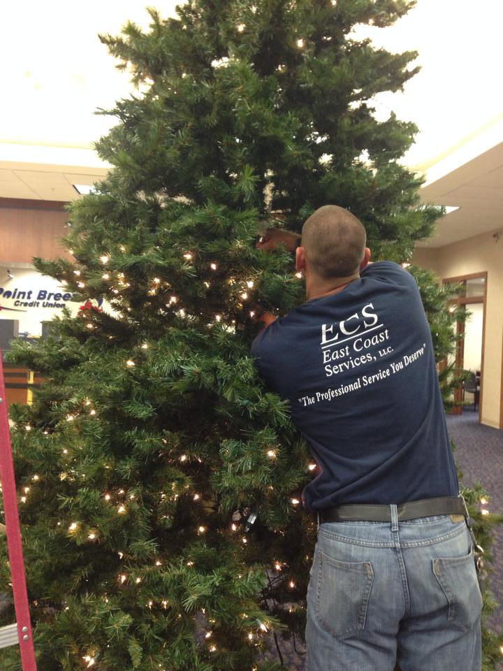 A handyman from East Coast Services LLC decorating a Christmas tree with lights in Baltimore, MD.