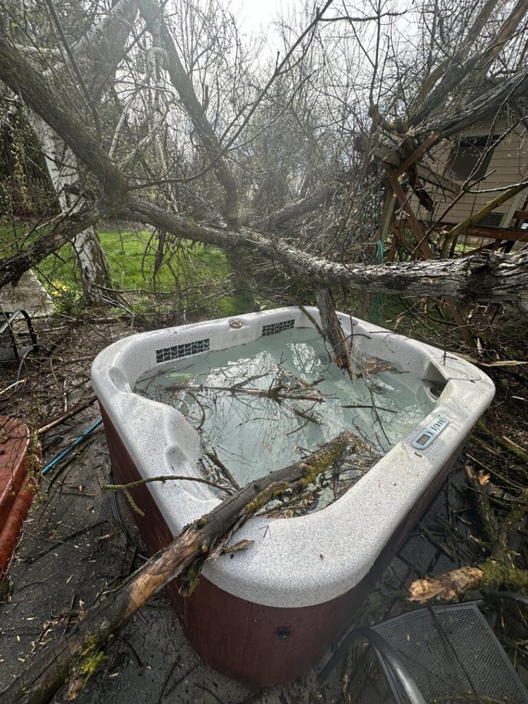 A hot tub covered in fallen tree branches and debris, requiring cleanup services from DeMasters Tree Care LLC in Nampa, ID.