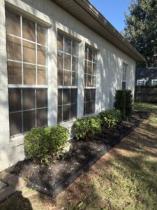 Newly installed landscaping with dark mulch and small green shrubs along the side of a house by HomeFront Services LLC in Fayetteville, AR