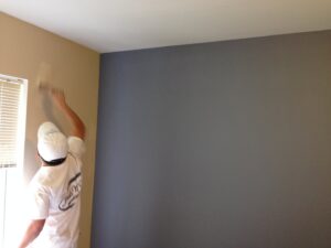 A house exterior with blue siding and a white garage door, freshly painted by Brush N' Roll Painting Co. in Federal Way, WA.